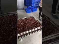 Trolley kawat mesh stainless steel untuk pengeringan